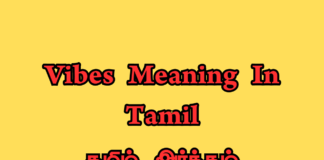 vibes meaning in tamil