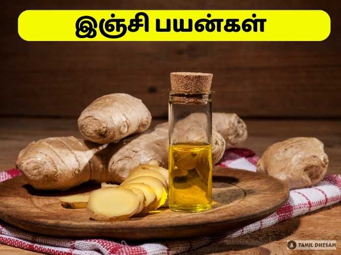 இஞ்சி பயன்கள் | Gingelly Oil In Tamil