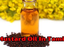 Mustard Oil In Tamil | கடுகு எண்ணெய்